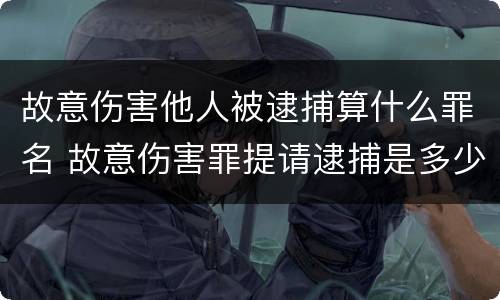 故意伤害他人被逮捕算什么罪名 故意伤害罪提请逮捕是多少条