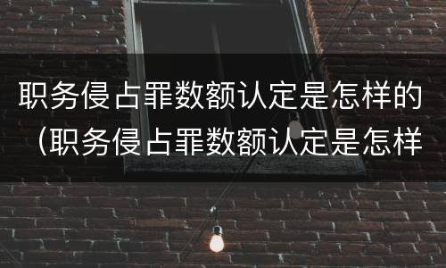 职务侵占罪数额认定是怎样的（职务侵占罪数额认定是怎样的案例）