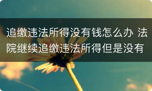 追缴违法所得没有钱怎么办 法院继续追缴违法所得但是没有钱怎么办