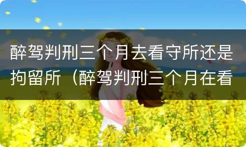 醉驾判刑三个月去看守所还是拘留所（醉驾判刑三个月在看守所挨打吗）