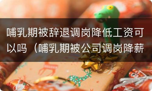 哺乳期被辞退调岗降低工资可以吗（哺乳期被公司调岗降薪怎么办）