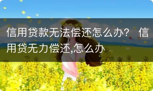 信用贷款无法偿还怎么办？ 信用贷无力偿还,怎么办