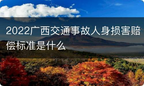 2022广西交通事故人身损害赔偿标准是什么