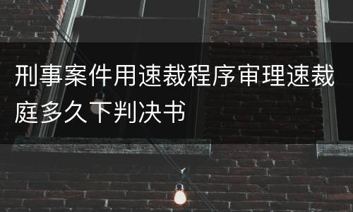 刑事案件用速裁程序审理速裁庭多久下判决书