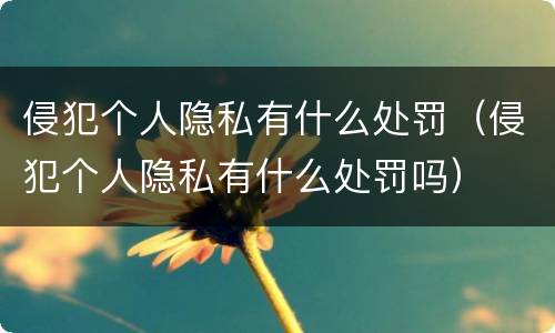 侵犯个人隐私有什么处罚（侵犯个人隐私有什么处罚吗）
