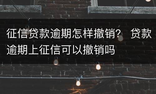 征信贷款逾期怎样撤销？ 贷款逾期上征信可以撤销吗