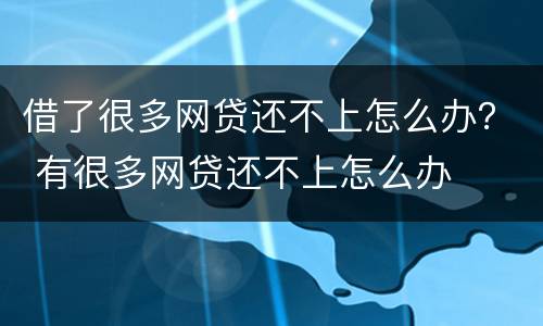 借了很多网贷还不上怎么办？ 有很多网贷还不上怎么办