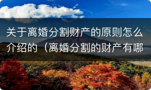 关于离婚分割财产的原则怎么介绍的（离婚分割的财产有哪些）