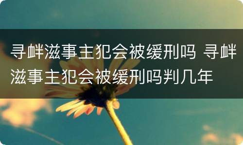 寻衅滋事主犯会被缓刑吗 寻衅滋事主犯会被缓刑吗判几年