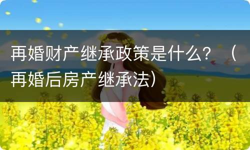 再婚财产继承政策是什么？（再婚后房产继承法）