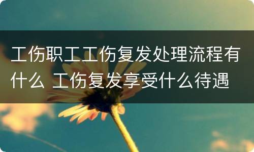 工伤职工工伤复发处理流程有什么 工伤复发享受什么待遇