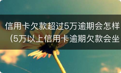 信用卡欠款超过5万逾期会怎样（5万以上信用卡逾期欠款会坐牢吗）