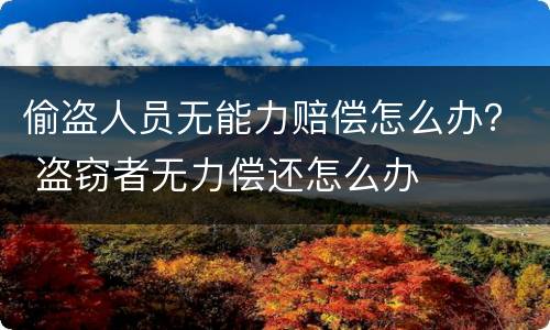 偷盗人员无能力赔偿怎么办？ 盗窃者无力偿还怎么办
