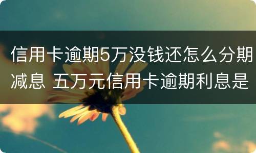 信用卡逾期5万没钱还怎么分期减息 五万元信用卡逾期利息是多少