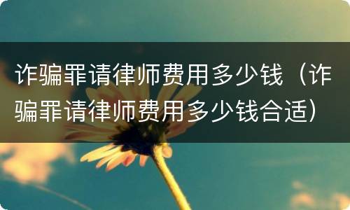 诈骗罪请律师费用多少钱（诈骗罪请律师费用多少钱合适）