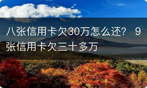 八张信用卡欠30万怎么还？ 9张信用卡欠三十多万