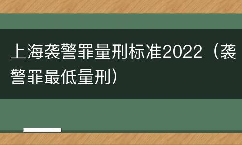 上海袭警罪量刑标准2022（袭警罪最低量刑）