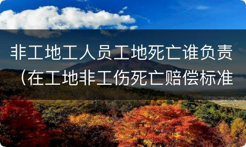非工地工人员工地死亡谁负责（在工地非工伤死亡赔偿标准）