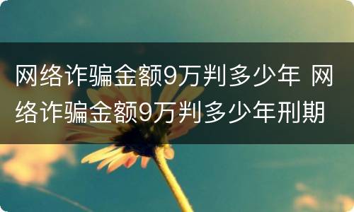 网络诈骗金额9万判多少年 网络诈骗金额9万判多少年刑期