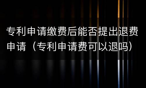 专利申请缴费后能否提出退费申请（专利申请费可以退吗）
