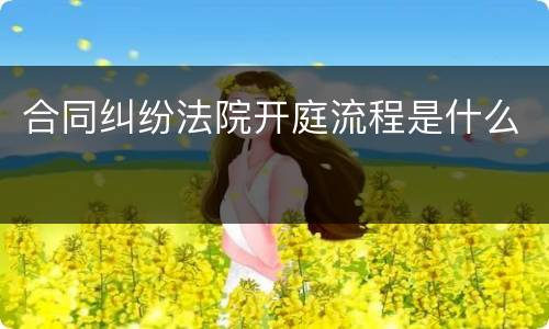 合同纠纷法院开庭流程是什么