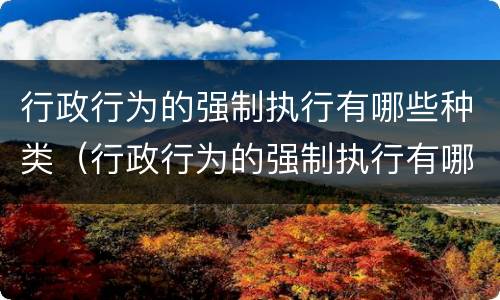 行政行为的强制执行有哪些种类（行政行为的强制执行有哪些种类和方式）