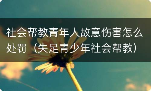 社会帮教青年人故意伤害怎么处罚（失足青少年社会帮教）
