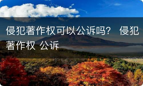 侵犯著作权可以公诉吗？ 侵犯著作权 公诉