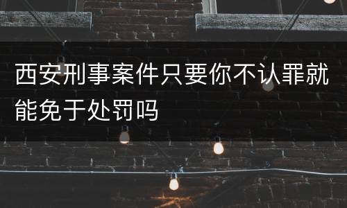 西安刑事案件只要你不认罪就能免于处罚吗