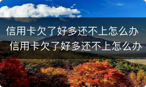 信用卡欠了好多还不上怎么办 信用卡欠了好多还不上怎么办呢