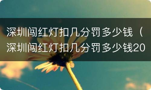 深圳闯红灯扣几分罚多少钱（深圳闯红灯扣几分罚多少钱2022）