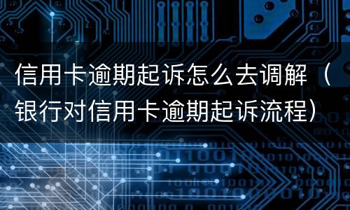 信用卡逾期起诉怎么去调解（银行对信用卡逾期起诉流程）
