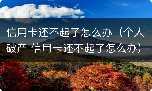 信用卡还不起了怎么办（个人破产 信用卡还不起了怎么办）