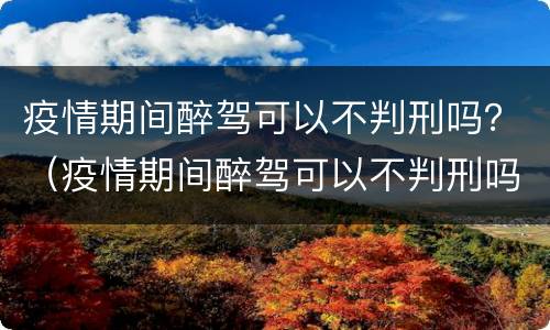 疫情期间醉驾可以不判刑吗？（疫情期间醉驾可以不判刑吗）