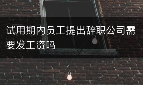 试用期内员工提出辞职公司需要发工资吗