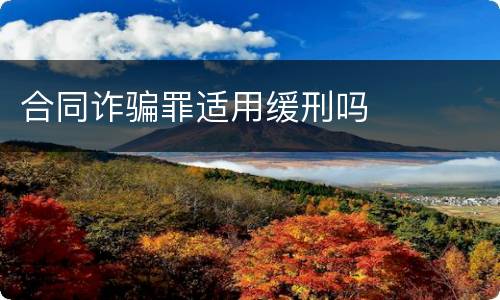 合同诈骗罪适用缓刑吗
