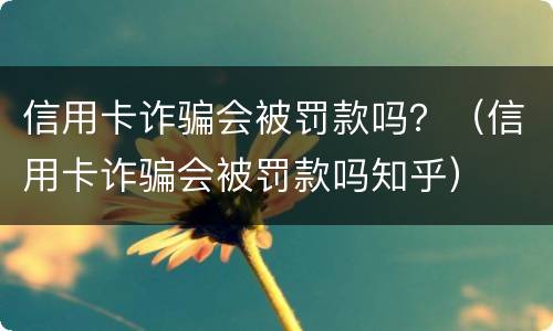 信用卡诈骗会被罚款吗？（信用卡诈骗会被罚款吗知乎）
