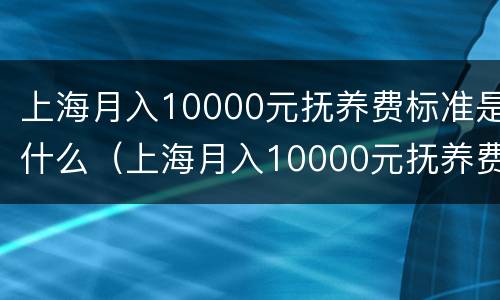上海月入10000元抚养费标准是什么（上海月入10000元抚养费标准是什么样的）
