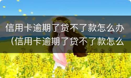 信用卡逾期了贷不了款怎么办（信用卡逾期了贷不了款怎么办理）