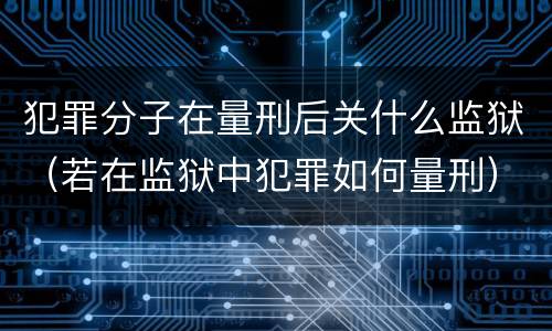 犯罪分子在量刑后关什么监狱（若在监狱中犯罪如何量刑）