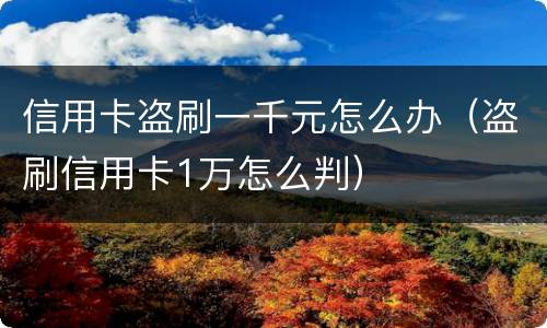 信用卡盗刷一千元怎么办（盗刷信用卡1万怎么判）
