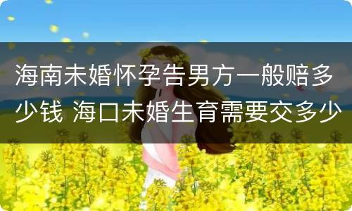 海南未婚怀孕告男方一般赔多少钱 海口未婚生育需要交多少罚款多少