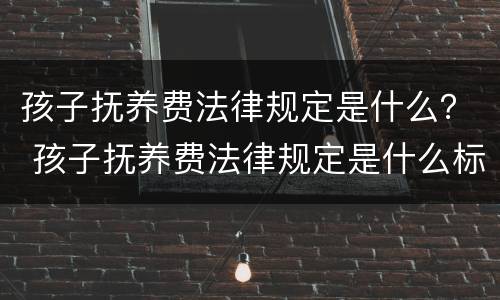 孩子抚养费法律规定是什么？ 孩子抚养费法律规定是什么标准