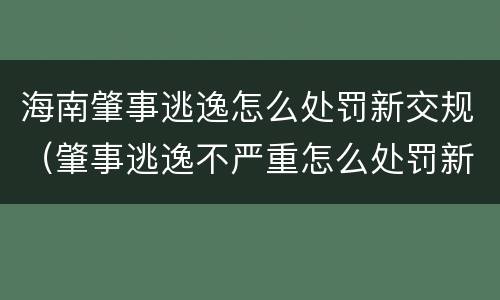 海南肇事逃逸怎么处罚新交规（肇事逃逸不严重怎么处罚新交规）