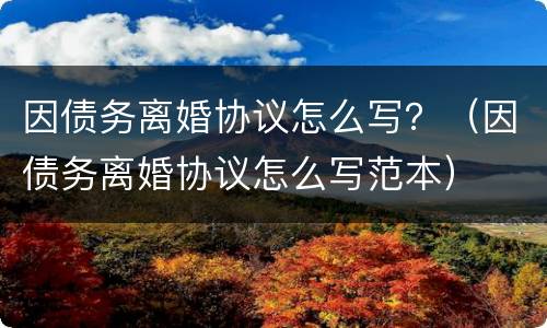因债务离婚协议怎么写？（因债务离婚协议怎么写范本）