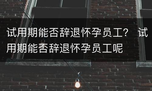 试用期能否辞退怀孕员工？ 试用期能否辞退怀孕员工呢