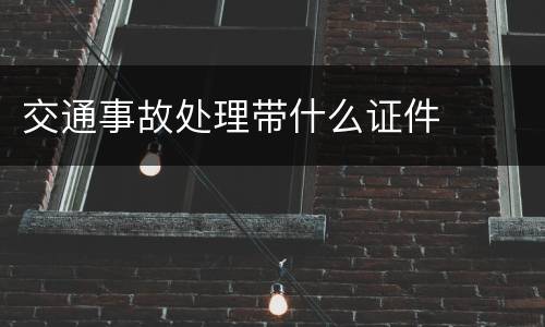 交通事故处理带什么证件