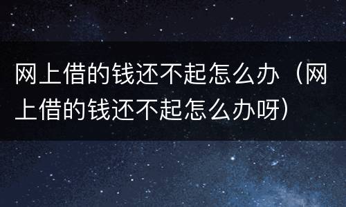 网上借的钱还不起怎么办（网上借的钱还不起怎么办呀）