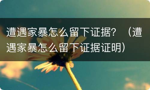 遭遇家暴怎么留下证据？（遭遇家暴怎么留下证据证明）