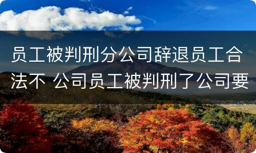 员工被判刑分公司辞退员工合法不 公司员工被判刑了公司要怎么处理